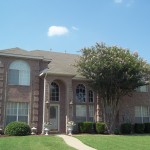 10314 Cecile – July 2011 YOTM
